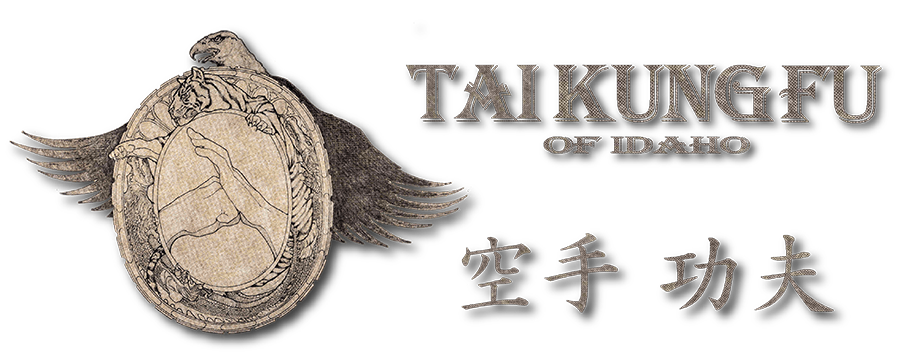 Tai Kung Fu of Idaho